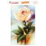MyHobby Kolay Transfer 17x25cm K-06