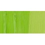 Talens Van Gogh Yağlı Boya 40 ml. 617 Yellowish Green