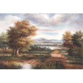 Rich Kolay Transfer 6000 23x33cm
