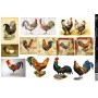 Tex.co Ligt Dekupaj Kağıdı 35x50 cm Model 05