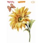 MyHobby Kolay Transfer 17x25cm K-40