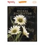 MyHobby Kolay Transfer 17x25cm K-44