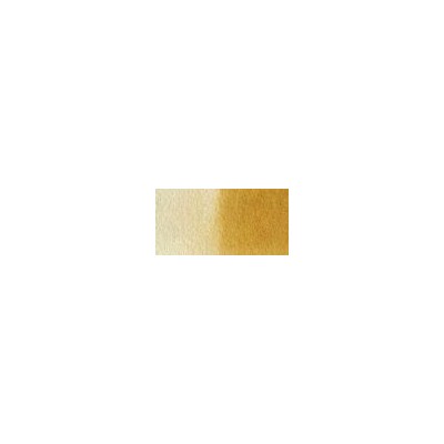 Talens Van Gogh 1/2 Tablet Sulu Boya 234 Raw Sienna