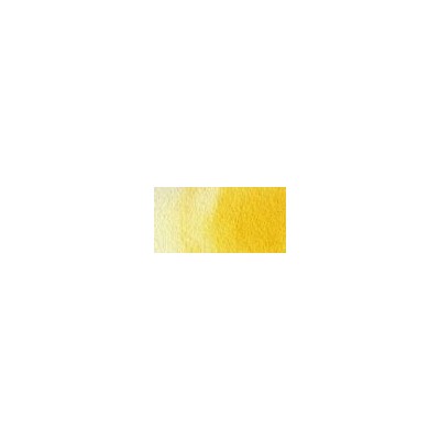 Talens Van Gogh 1/2 Tablet Sulu Boya 238 Gamboge