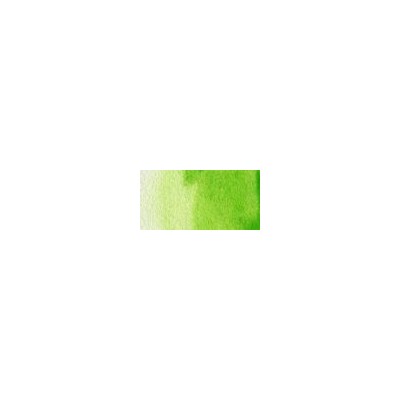 Talens Van Gogh 1/2 Tablet Sulu Boya 633 Permanent Yellow Green