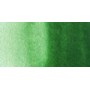 Talens Van Gogh 1/2 Tablet Sulu Boya 644 Hooker Green Light