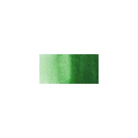 Talens Van Gogh 1/2 Tablet Sulu Boya 644 Hooker Green Light