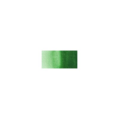 Talens Van Gogh 1/2 Tablet Sulu Boya 644 Hooker Green Light