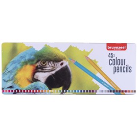Bruynzeel Kuru Boya Kalemi Metal Kutu 45 Renk - Parrot